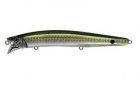 Tackle House Contact Feed Shallow Plus 128 04 HALF BEAK